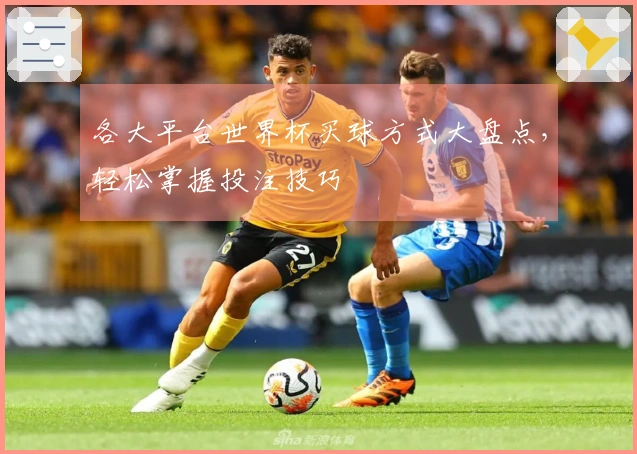 各大平台世界杯买球方式大盘点，轻松掌握投注技巧