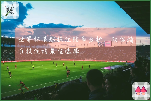 世界杯滚球投注赔率分析，助你精准投注的最佳选择