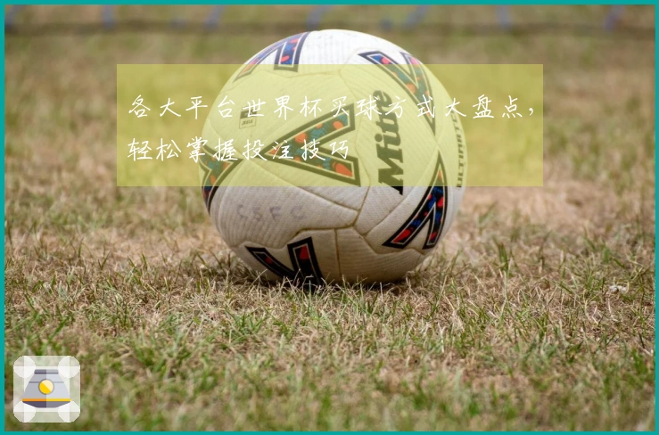 各大平台世界杯买球方式大盘点，轻松掌握投注技巧